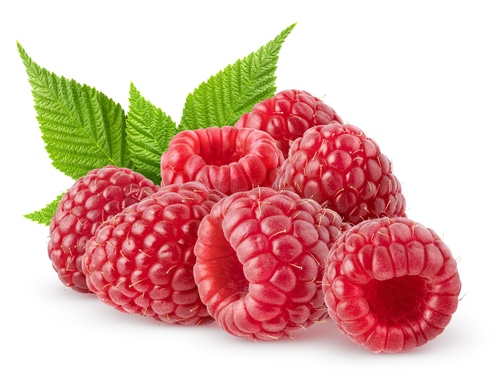 新研究发现黑树莓可能有助于预防口腔癌